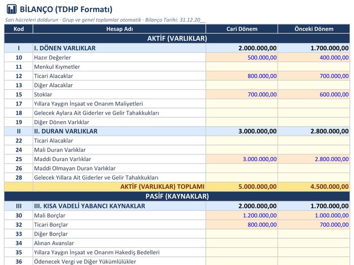 TDHP Uyumlu Bilanço Şablonu (Excel) — ürün önizlemesi